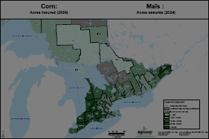 Corn insured acres